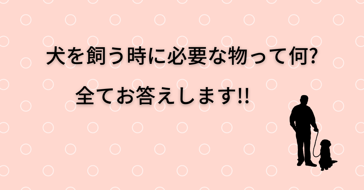 犬を飼う時に準備する物ってなに これを読めば失敗しない 必要なもの全てご紹介します いなか散歩