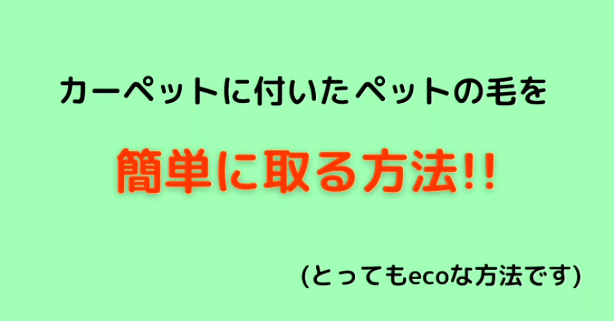 カーペットに付いたペットの毛 簡単 Ecoなお掃除方法 いなか散歩