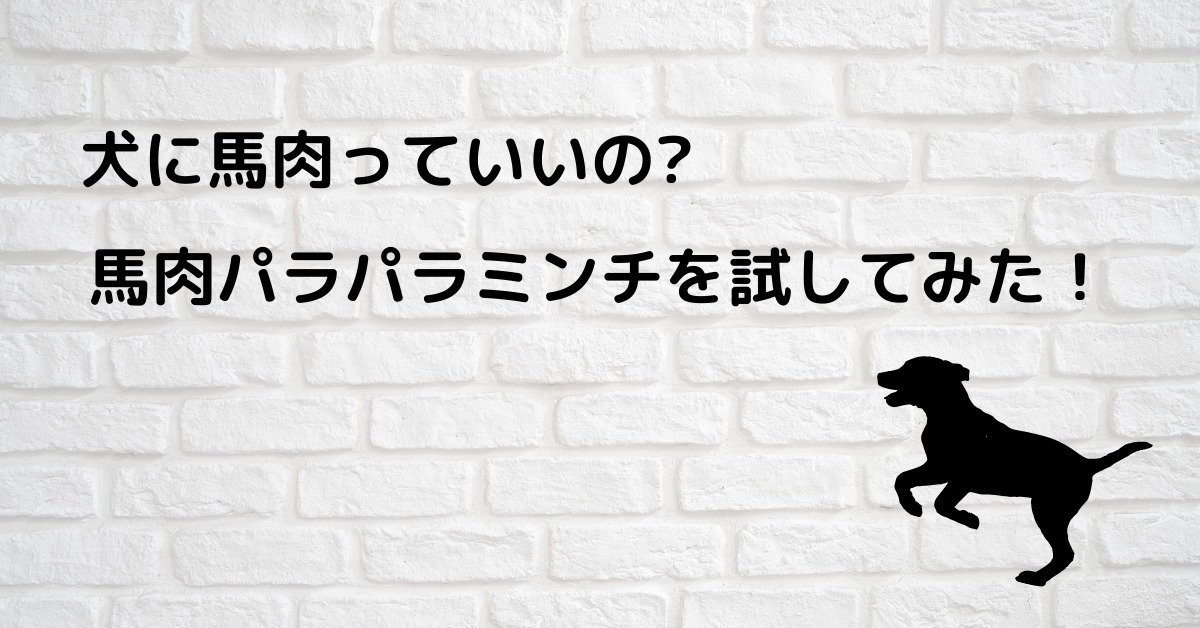 犬に馬肉っていいの 犬用の馬肉パラパラミンチを試してみた 動画あり いなか散歩