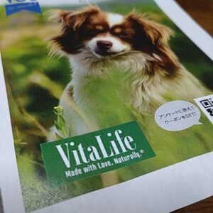 VitaLife