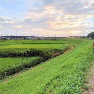 田舎