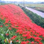 2024-10-04-13-35-49-081