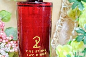 ONE STONE TWO BIRDS 角栓溶解クレンジングオイル