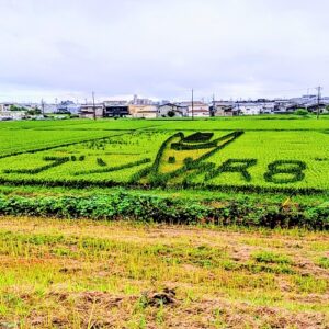 田んぼアート